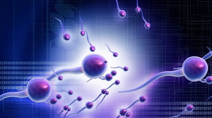 Агглютинация сперматозоидов: что это такое, нормозооспермия в ...