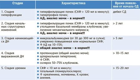 Как сдать мочу без белка при беременности