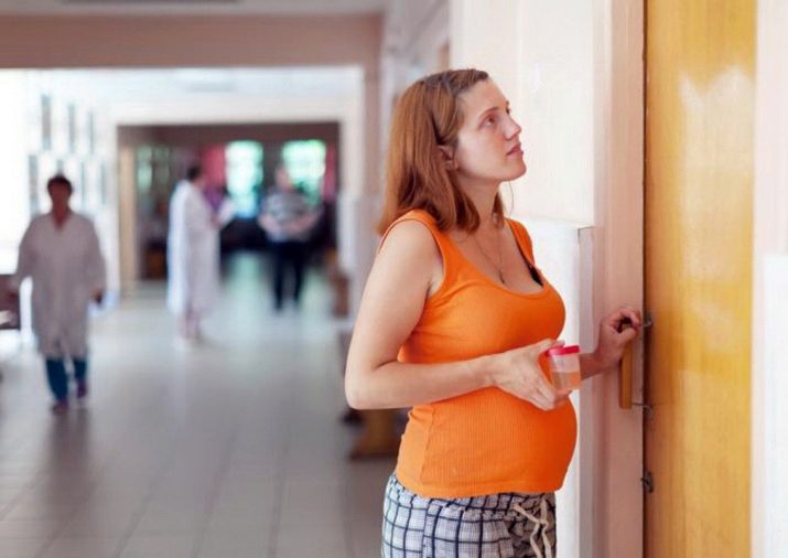 Анализ мочи как собрать посев мочи при беременности