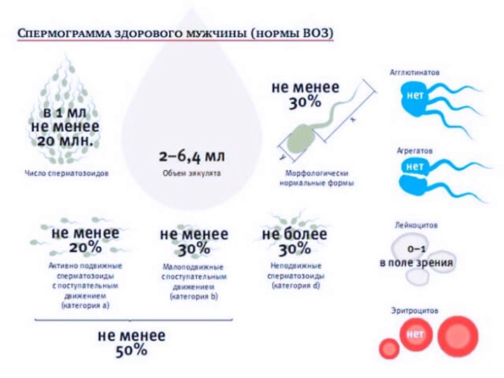 Какие нормальные показатели спермограммы