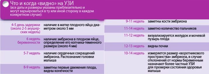 Что может показать узи на 5 неделе беременности